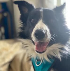 Meet your Posher, Matti